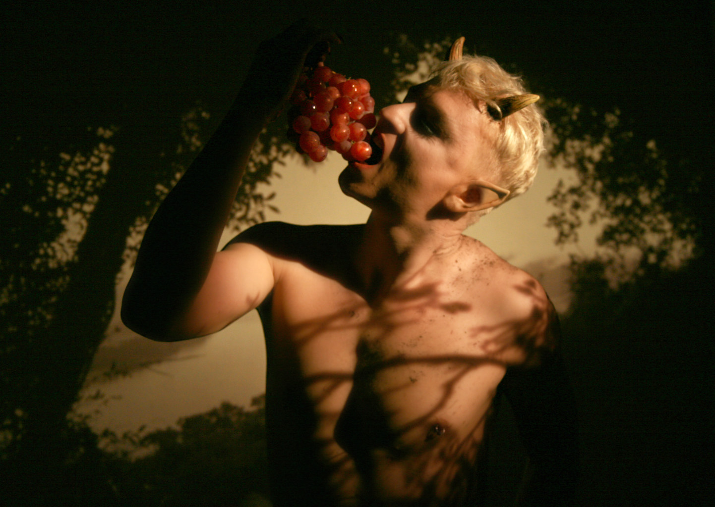 Pan – Die Weinlese